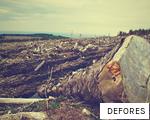 DEFORES anagram