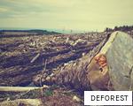 DEFOREST anagram
