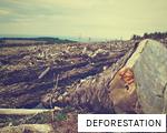 DEFORESTATION anagram
