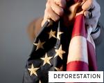 DEFORESTATION anagram