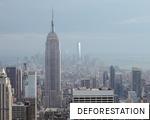 DEFORESTATION anagram