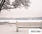 DEICING anagram
