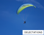 DELECTATIONS anagram