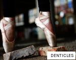 DENTICLES anagram