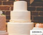 DERMIS anagram