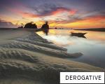 DEROGATIVE anagram