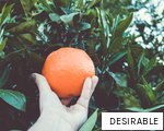 DESIRABLE anagram