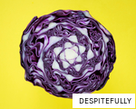 DESPITEFULLY anagram
