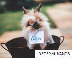 DETERMINANTS anagram