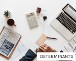 DETERMINANTS anagram
