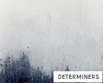 DETERMINERS anagram
