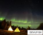 DEVILFISH anagram