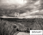 DEVILRY anagram