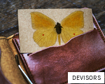 DEVISORS anagram