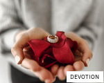 DEVOTION anagram