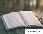 DEVOTIONAL anagram