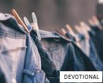 DEVOTIONAL anagram