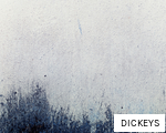 DICKEYS anagram