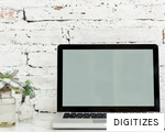 DIGITIZES anagram