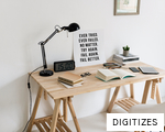 DIGITIZES anagram