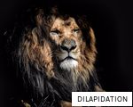 DILAPIDATION anagram