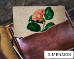 DIMENSION anagram
