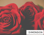 DIMENSION anagram