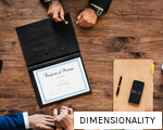 DIMENSIONALITY anagram