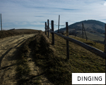 DINGING anagram
