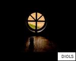DIOLS anagram
