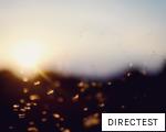 DIRECTEST anagram