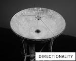 DIRECTIONALITY anagram