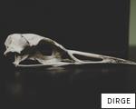 DIRGE anagram