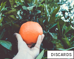 DISCARDS anagram