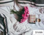 DIVAN anagram