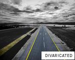 DIVARICATED anagram
