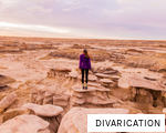 DIVARICATION anagram