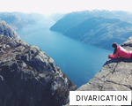 DIVARICATION anagram