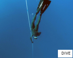 DIVE anagram