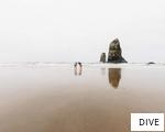 DIVE anagram