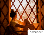 DIVERSELY anagram