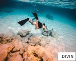 DIVIN anagram