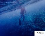 DIVIN anagram