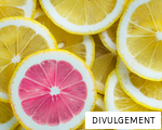 DIVULGEMENT anagram