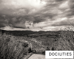 DOCILITIES anagram