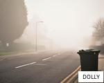 DOLLY anagram