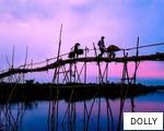 DOLLY anagram
