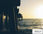 DOLLY anagram
