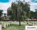 DOLMEN anagram