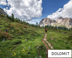 DOLOMIT anagram